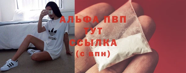 стафф Алексин
