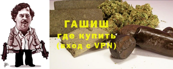 гидра Арсеньев