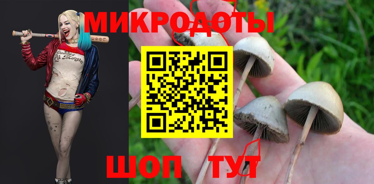 Галлюциногенные грибы GOLDEN TEACHER  Псилоцибиновые грибы Cubensis  Тавда  Вход с VPN 